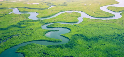 Révolutionner l'irrigation agricole : le rôle des tuyaux et raccords en PVC